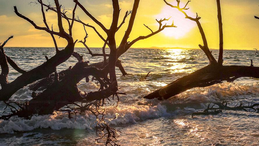 WINK WEATHER WATCHERS. 9-25-25