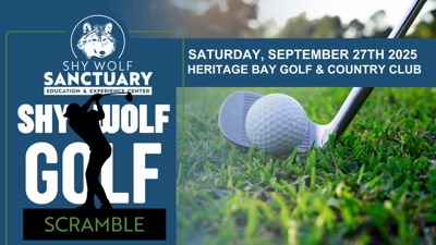 shy wolf golf 9/27/25
