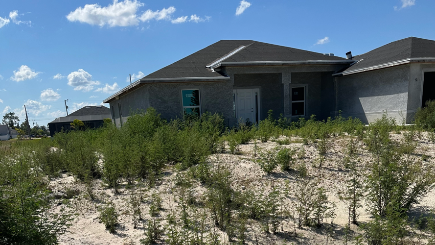 wink investigates abigail tamru house